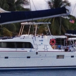 A white catamaran sailing boat on calm water near palm trees.