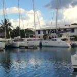 Sailboats docked peacefully at a marina during cloudy weather.